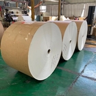 Waterproof White PE Coated Paper Roll 320gsm Kraft For Bowl