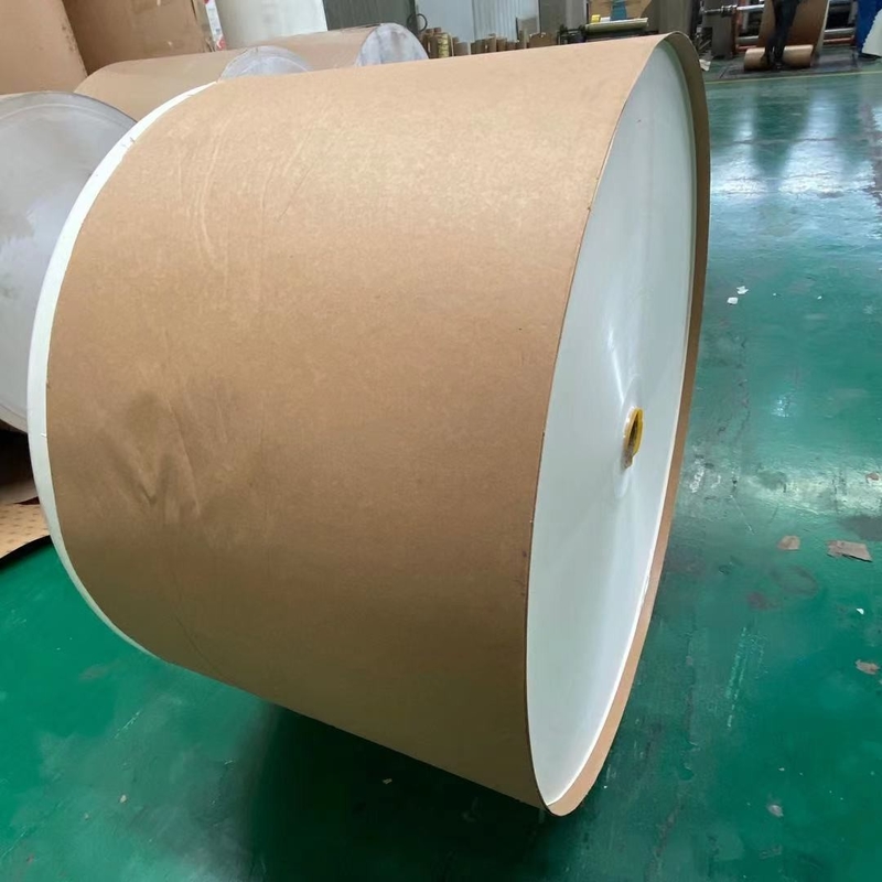 Coated 235gsm Paper Tea Cup Raw Material Cupstock Paper